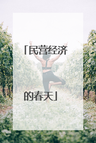 民营经济的春天